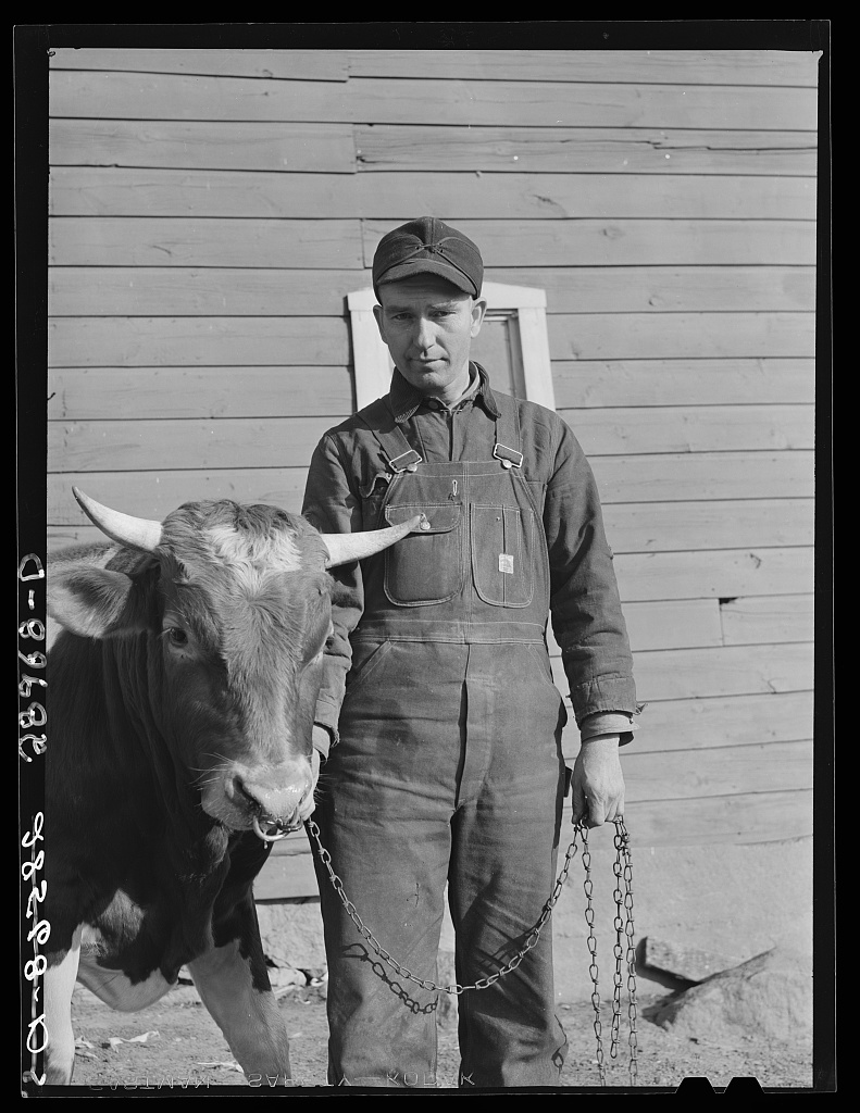 A farmer reviews papers in a meeting about an FSA cooperative arrangement