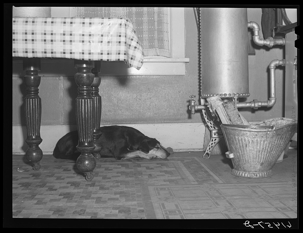 A dog sleeps on the floor of a farmhouse kitchen beside the stove